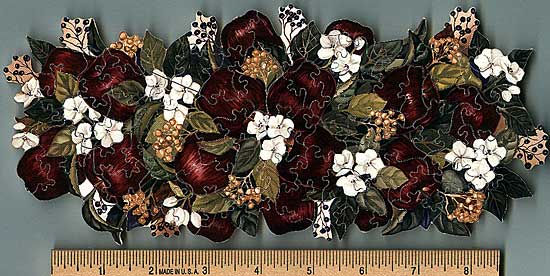 Apple Blossoms