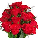 1 dozen Roses on Valentine's Day